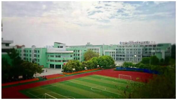 1562549701892778.jpg 5.jpg