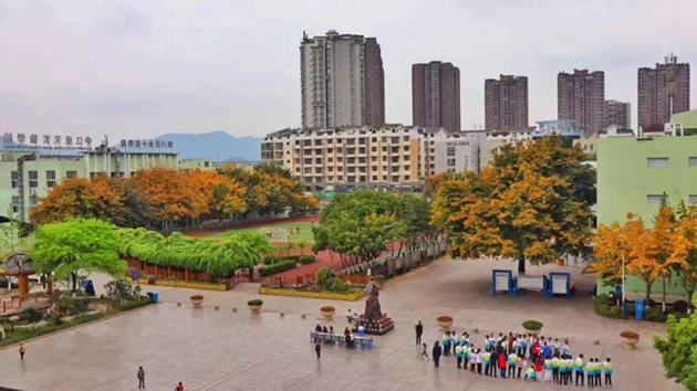 1617088368287998.jpg 14.jpg