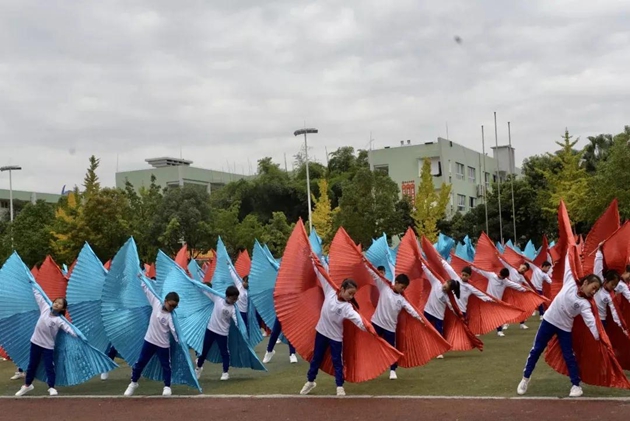 1617092279267743.jpg 23.jpg